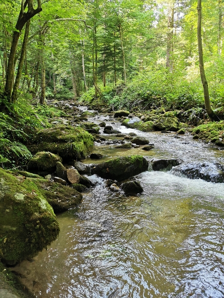 Bistriški Vintgar.jpg